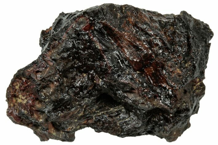 Fossil Tyrannosaur (T rex) Bone Section - Wyoming #314135